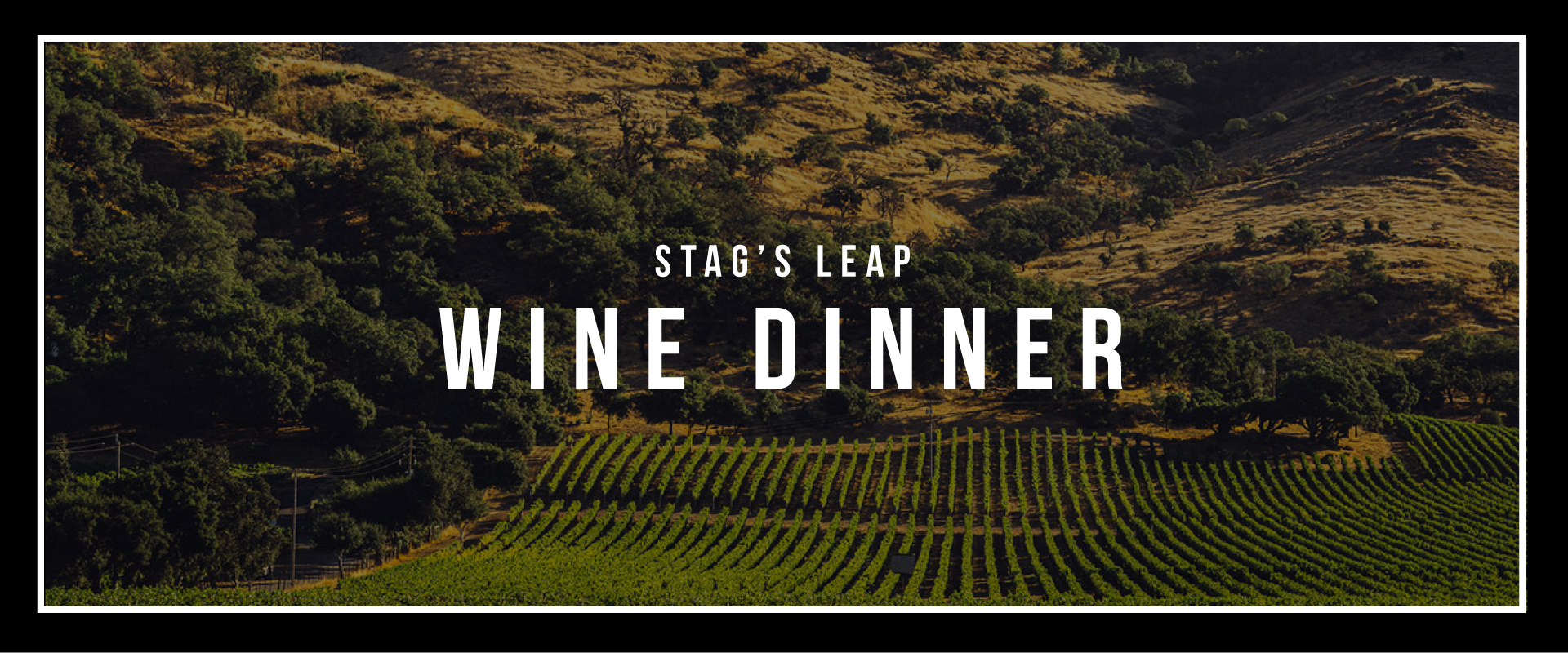 Stag's Leap Wine Dinner Header