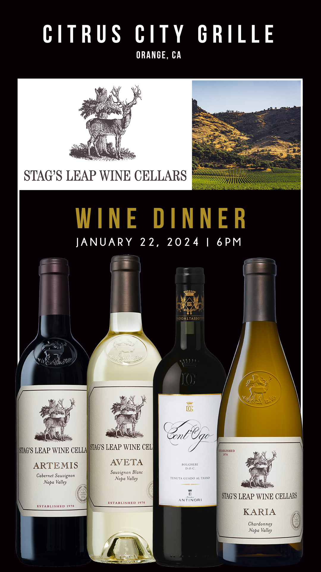 Stag's Leap Wine Dinner - Background Image