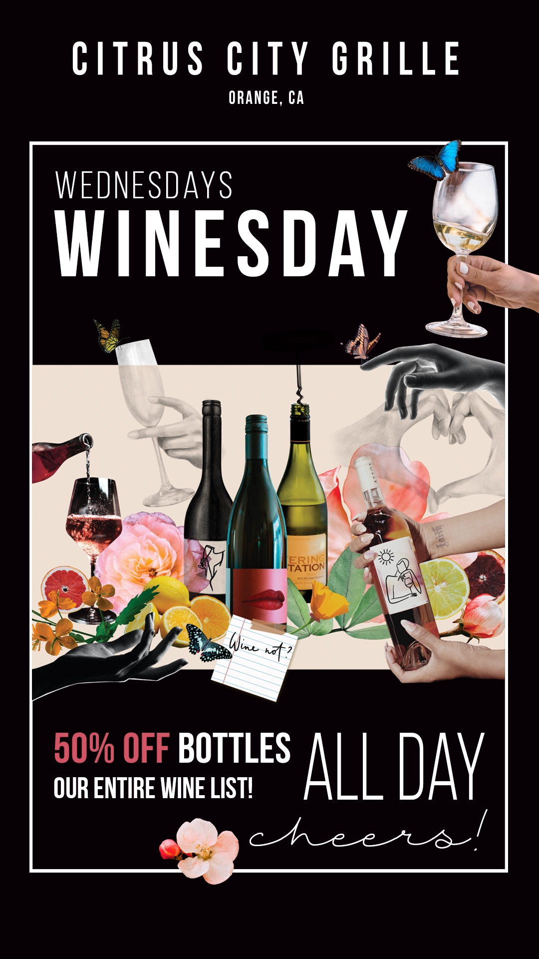 Wednesday Winesday Promotion - 50% off all wine bottles